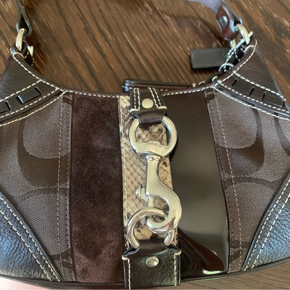 Coach Hampton Signature Striped Python Hobo Bag - Picture 3 of 4